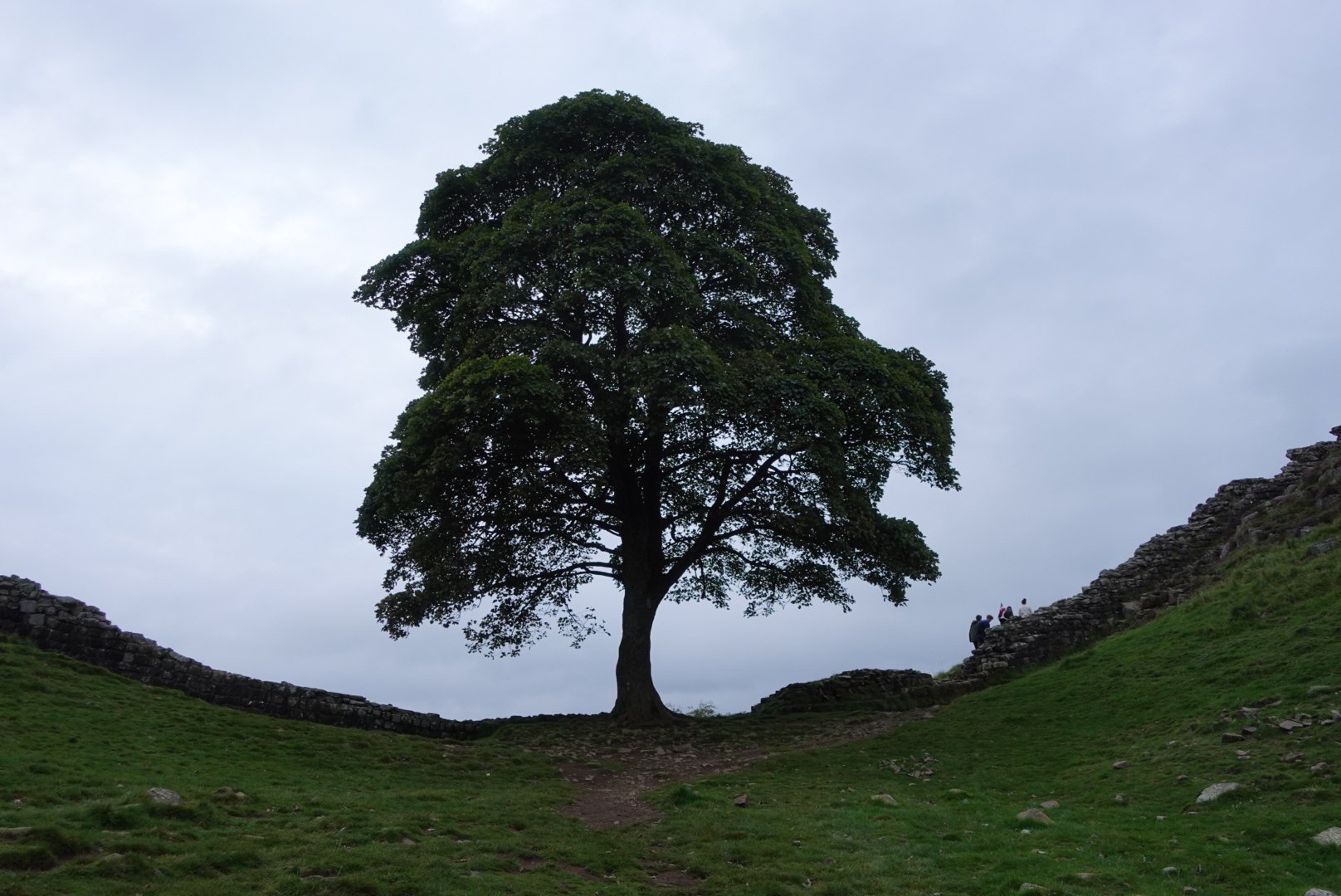 Van Chollersford naar Cawfields